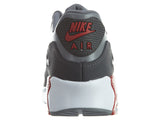 Nike Air Max 90 Ltr Big Kids Style : 833412